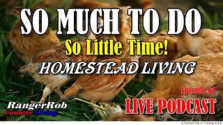 So Much To Do, So Little Time, Join Our Chat, Homestead Podcast 61