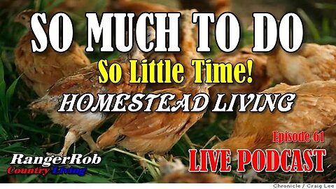 So Much To Do, So Little Time, Join Our Chat, Homestead Podcast 61