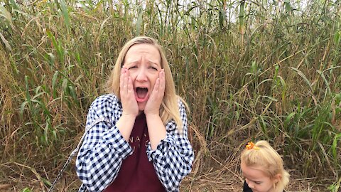 Family Lost in a Corn Maze. Finding our Way OuT????
