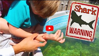 HELPING Little Kid From Jaws Attack!! Crazy