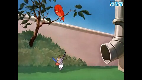 Tom&Jerry Episode Two Little Indians Full Watch.(Cartoon World)
