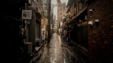 Rain on the stone pavement of Saiseki dori Street in Kyoto, Japan