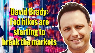 David Brady: Fed hikes are starting to break the markets