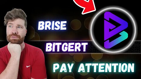 Bitgert "BRISE" Crypto Breakout COMING!