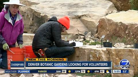 Denver Botanic Gardens looking for volunteers