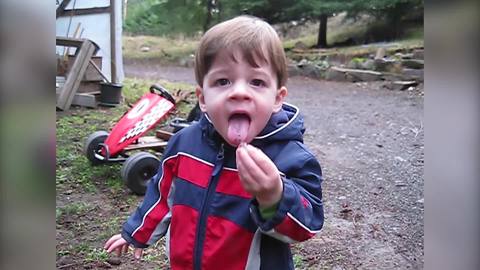 A Tot Boy Licks A Worm And Makes A Disgusted Face