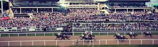 Horseracing uk #newcastle Races #newmarket #curragh