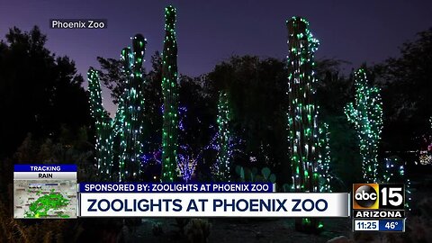 Phoenix Zoo Lights