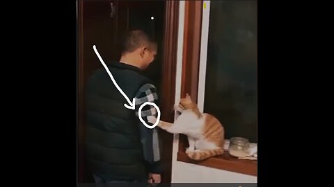 The cat grabs people and throws them inside the door