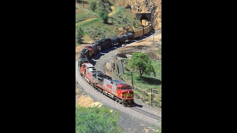 Freight train at high SPEED of various TYPES and PLACES