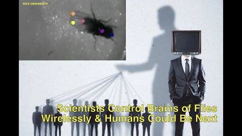 Scientists Control Brains of Flies Wirelessly & Humans Could Be Next, Watch This