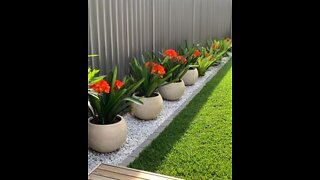 Modern Landscaping ideas