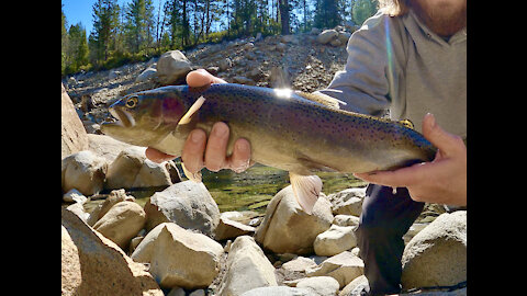 HIKING and FISHING in TAHOE NATIONAL FOREST (MONSTER CATCH)