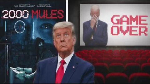 2000 MULES: NEUER FILM DECKT BIDENS WAHLBETRUG AUF - LION MEDIA TV