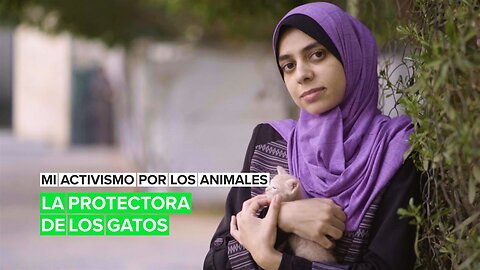 Mi activismo por los animales: La protectora de los gatos