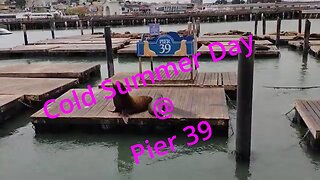 Pier 39 San Francisco, California