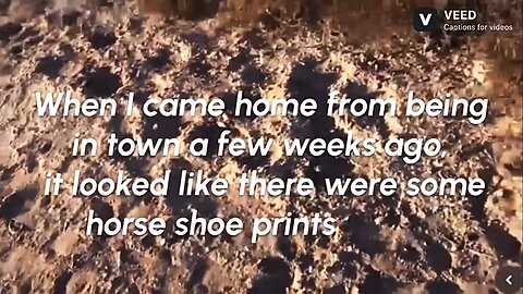 Horse & cow hoof prints : FB Live