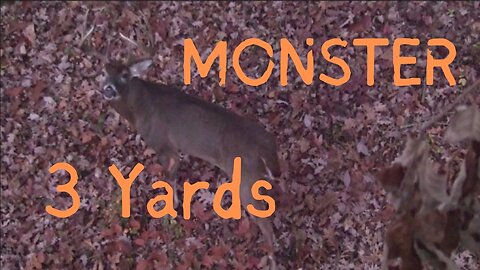 MONSTER at 3 yards!!!