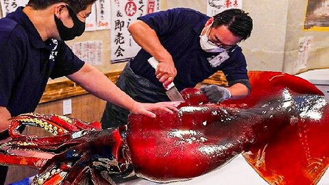 Incredible Giant Squid Fishing - How to Cutting Giant Squid