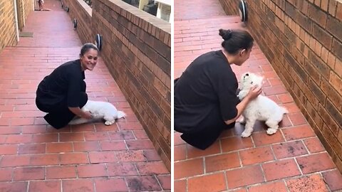 Ecstatic Pup Reunited With Owner After One Year Apart