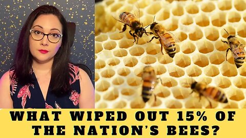 Bee Apocalypse! What Happened To Our Nation's Bees??