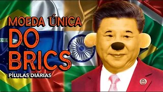 Yuan - A Moeda Única do Brics