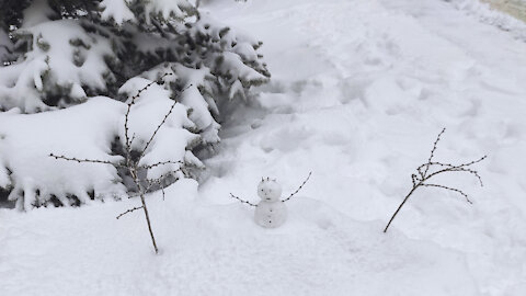 Little snowman under the tree