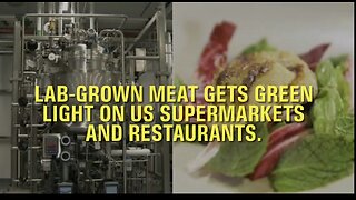 Lab-Grown Meat Gets Green Light On US Menus