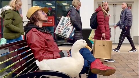 Duck Goes To The Mall - What Happens Next May Surprise You