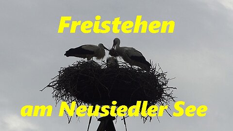 HR1 Austria Neusiedler See | Free Parking | Stork Family | Stories