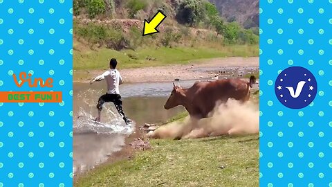Funny & Hilarious Video People's Happy Life #02 😂 Try Not To Laugh Funny Videos 2024 😂😂
