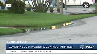 Pools of water from Elsa could increase helicopter activity from Lee County Mosquito Control District