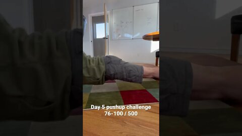 Day 5 pushup challenge reps 76-100 / 500