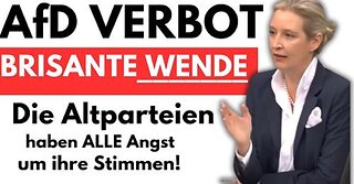 EILMELDUNG ALICE WEIDEL DECKT DIE WAHRHEIT ÜBER AfD VERBOT & NEUEN GRÜNEN SKANDAL AUF!💥