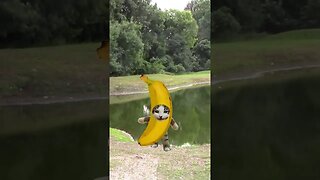Banana Cat Can Not Swim! 🍌