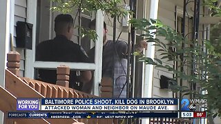Baltimore Police shoot, kill dog in Brooklyn