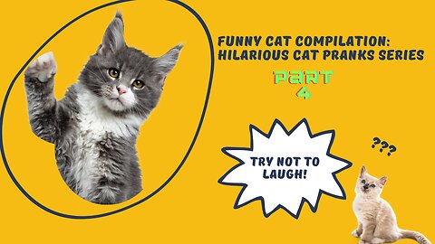 Funny Cat Compilation: Hilarious Cat Pranks Series - Part 4