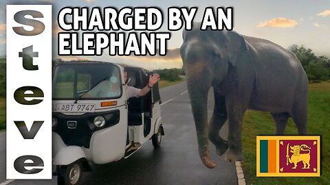 CHARGED by an ELEPHANT - Yala National Park 🐘 🇱🇰