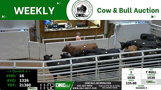 10/16/2023 - OKC West Weekly Cow & Bull Auction