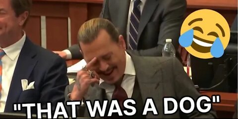 Funniest moments of johnny depp's trial (trial court moment)