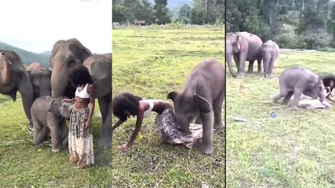 Little Elephant Playing With Little Girl