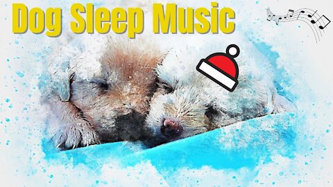Songs for your dog to sleep | Anti stress songs