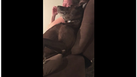 Woman can't stop laughing at snoring pup