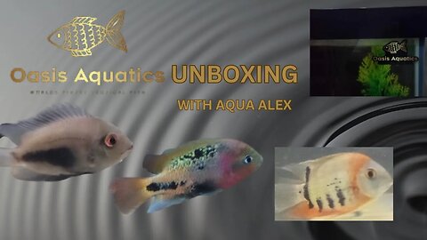 Oasis Aquatics Unboxing W/ Aqua Alex