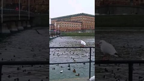 🇸🇪 Royal Palace Stockholm Sweden 【4k UHD walk】