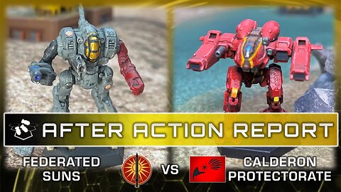 After Action Report: Fed Suns vs. Calderon Protectorate - Bigger Fish to Fry Campaign | BattleTech