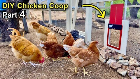 Building a DIY Chicken Coop Part 4 - Automatic Door & The Coop Floor