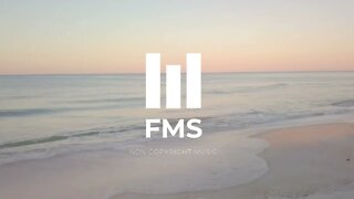 FMS - Free Non Copyright EDM Music #025