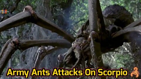 Army Ants aggressive movements
