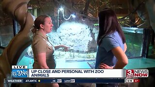 Up close and personal with animals at Henry Doorly Zoo and Aquarium